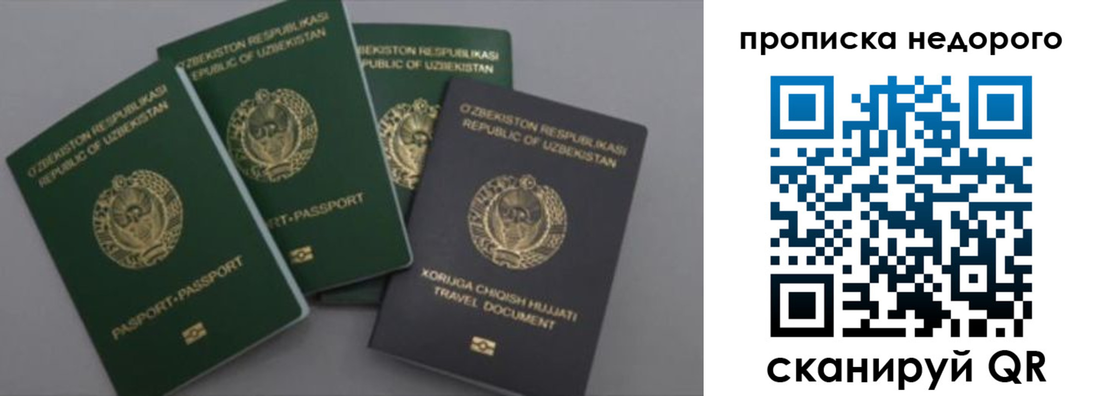 регистрация для школы в Мончегорске